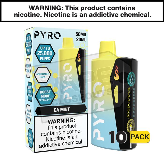 CA Mint Pyro Boost 25K Disposable Vape 10 Pack