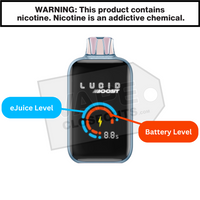 Thumbnail for Infographic Lucid Boost 20123 Screen