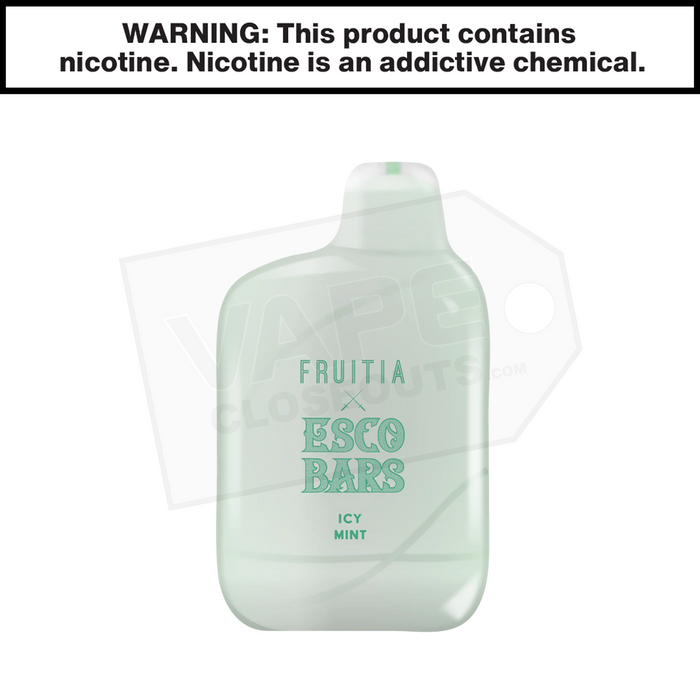 Esco Bars Fruitia | Icy Mint | 6000 Puffs Disposable Rechargeable Vape